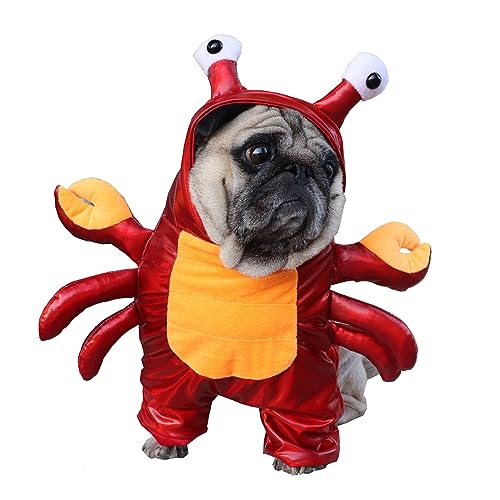 BAMY Halloween Hund Krabbe Kostüm Winter Haustier Hoodie Lustige Bulldogge Bekleidung Katze Anzug Puupy Kleidung für kleine mittelgroße Hunde (XL (Brustumfang 39,9 cm) von BAMY