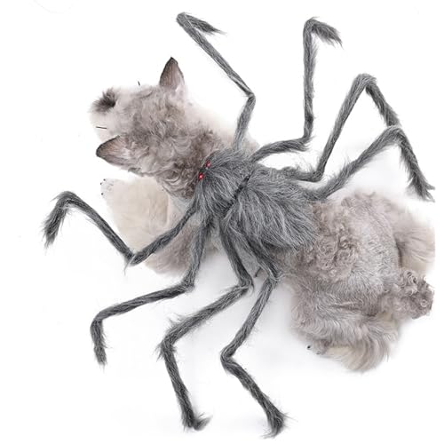 BAMY Halloween-Spinnenkostüm für Hunde, lustiges Haustierkostüm, Kreativität, Grau, Araneid, Cosplay-Bekleidung (M (Brustumfang 40-64 cm) von BAMY