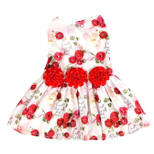 BAMY Hundekleid mit Blume, Valentinstag, Teddy, Rock, Rose, Katzenkleidung, süßes Prinzessinnen-Bomei-Kostüm, Haustier-Tutu für Frühling, Sommer, Hochzeit, Party (Rot, L) von BAMY