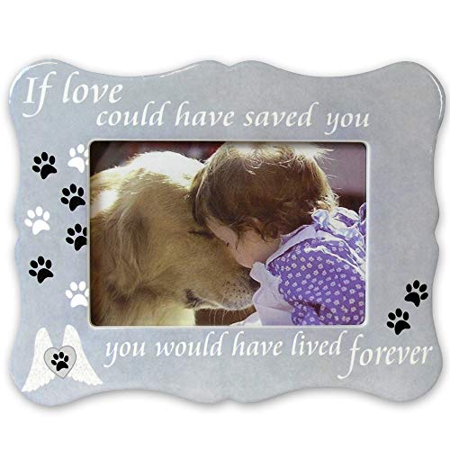 BANBERRY DESIGNS Bilderrahmen für Haustier-Gedenkstätten, Aufschrift "If Love Could Have Saved You Pet", Pfotenabdrücke und Engelsflügel, Trauergeschenk, Trauergeschenk von BANBERRY DESIGNS