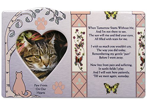 BANBERRY DESIGNS Cat Memorial Picture Frame - When Tomorrow Starts Without Me in Loving Memory of a Kitty - in Memory of a Cat Sympathy Gifts Photo Plaque von BANBERRY DESIGNS