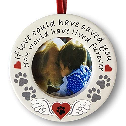 Gedenktafel für Haustiere banberry Designs Bilderrahmen oder Weihnachten Ornament - 3 1/5,1 cm Desktop Memorial - Wenn Liebe könnte Gespeichert haben Sie - Loving Spruch für Hund oder Katze von BANBERRY DESIGNS