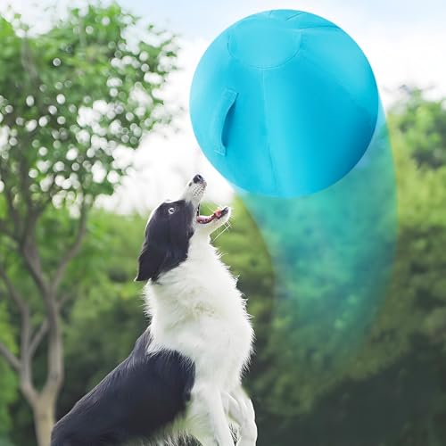 BAODBF Hunde Ball Groß 25",Hundespielzeug Ball,Herding Ball Hund mit Pumpe,Ball für Hunde,Hunde Spielzeug für Schäferhund,Blau von BAODBF