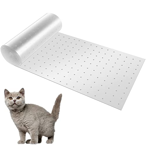 BAODBF Kratzschutz für Sofa, Katze, PVC, Anti-Kratzer, Teppichschutz, Kratzschutz, Kratzschutz, Katzenteppichschutz für Sofa, Tisch (31 x 250 cm) von BAODBF