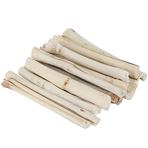 BAOFUYA Süße Bambusstange für Hamster, Süße Bambus Molar Sticks, Kaninchen Molar Sticks, Rein Natürliche Pflanzen für Kaninchen für Kleine Haustiere von BAOFUYA