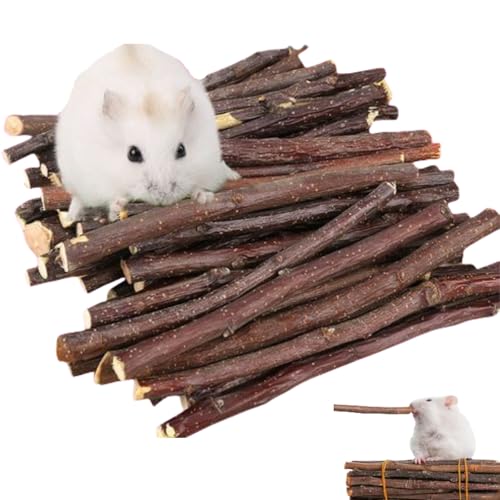 BAOSROY Chinchilla Apfelstäbchen,Apfelstäbchen,Kaninchen Apfelstäbchen,Apfel Sticks für Haustiere,Natürliche Apfelstäbchen Hamster Kauspielzeug,für Chinchilla Meerschweinchen Hamster Kaninchen,12PCS von BAOSROY