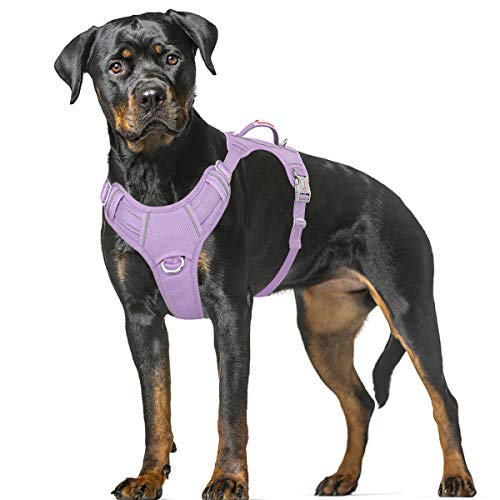 BARKBAY Hund Brustgeschirr, kein Ziehen, groß, reflektierend, mit Frontclip und einfachem Griff für Spaziergänge, Training, Laufen mit ID-Tasche (Violett, XL) von BARKBAY