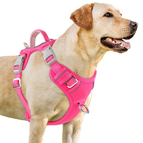 BARKBAY Hundegeschirr, kein Ziehen, 3 Schnallen, groß, reflektierend, mit Frontclip und einfacher Kontrolle, Griff für Spaziergänge, Training, Laufen, mit ID-Etiketten-Tasche (Rosa, L) von BARKBAY