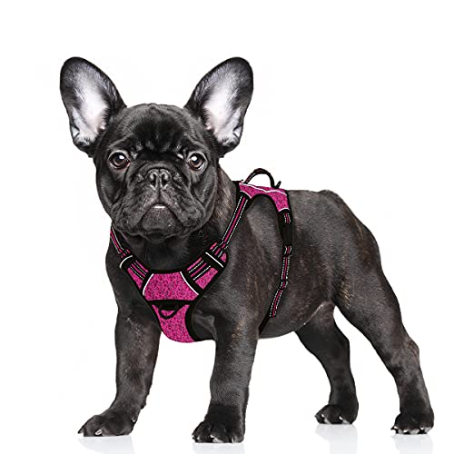 BARKBAY Reflektierendes Hundegeschirr mit Frontclip und Kontrollgriff, einfach zum Gehen, Dressieren, Laufen, mit Tasche für Ausweis (Rosa/Schwarz, S) von BARKBAY