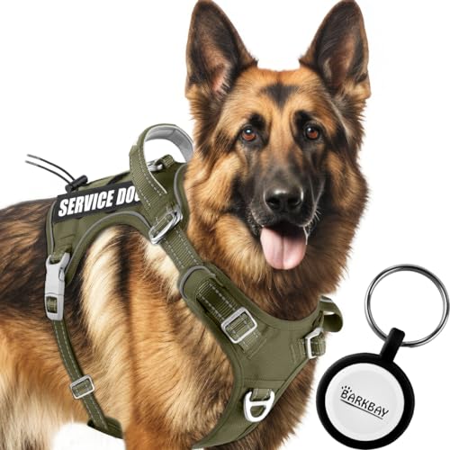 BARKBAY Servicehundeweste, taktisches Hundegeschirr, Größe M und L, personalisierbar, kein Ziehen, verstellbares Hundegeschirr, reflektierend, K9, Arbeitstraining, EasyControl, militärisches von BARKBAY