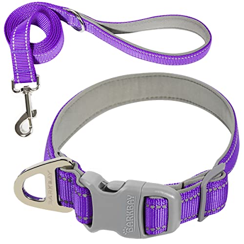 Hundehalsband für mittelgroße und kleine und große Hunde, reflektierend, mit Leine, Halsband und Leine für Hunde, weiches Neopren, gepolstert, 2 Stück (lila, L) von BARKBAY