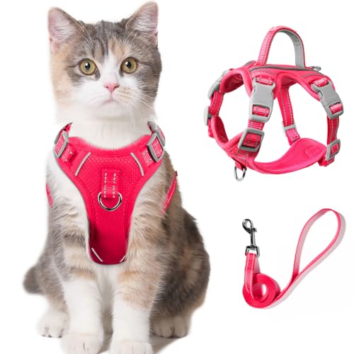 Katzengeschirr und Leine, Katzenweste, Katzen Gürtel, Set zum Spazierengehen, ausbruchsicher für kleine und große Katzen, Kätzchen, mit Ausweisfach (Rosa, XXS von BARKBAY