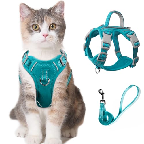 Katzengeschirr und Leine, Set zum Spazierengehen, ausbruchsicher, für kleine und große Katzen, mit ID-Tag-Tasche (blau, XXS) von BARKBAY