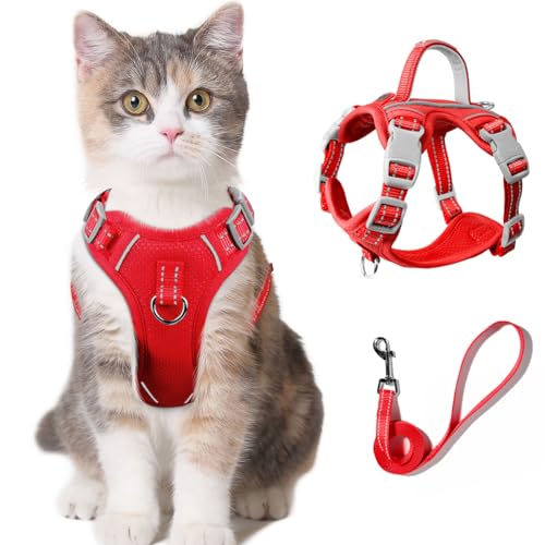 Katzengeschirr und Leine, Set zum Spazierengehen, ausbruchsicher für kleine, große Katzen, Kätzchen, mit Ausweisfach (Rot, S) von BARKBAY