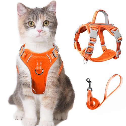 Katzengeschirr und Leine, Set zum Spazierengehen, ausbruchsicher für kleine und große Katzen, mit Tasche für ID-Tag, Orange, XXS von BARKBAY