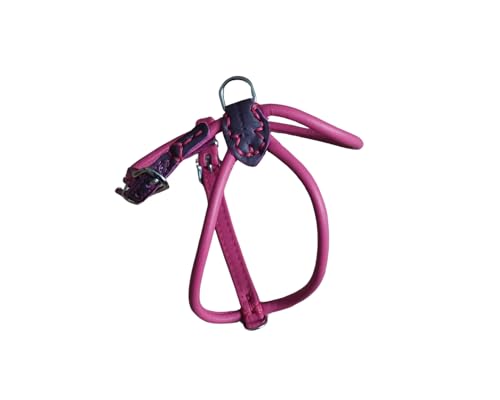 BARRY & LUCY® Hundegeschirr aus Leder - weiches Finish, verstellbares Hundegeschirr, Geschirr für große und kleine Hunde, viele Größen und Farben, klassisch und elegant, 6mm- 34/44cm Rosa von BARRY & LUCY