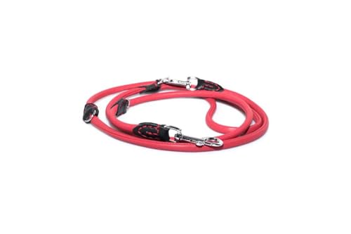 BARRY & LUCY® Hundeleine verstellbare - aus Leder, Leine für kleine und große Hunden, Lange, strapazierfähige Hundeleine, abnehmbar, in vielen Farben (Rot, 10mm- 220 cm) von BARRY & LUCY