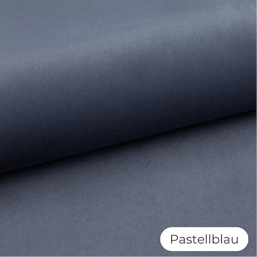 BARRY & LUCY Hundematratze Hundekissen 3in1 Petriendly Samtstoff Gesteppt Hundeschlafmatte Hundematte Hundebett Hundekorb Liegekissen Weiches Kissen Elastische Füllung viele Farben (Pastel Blau, L) von BARRY & LUCY