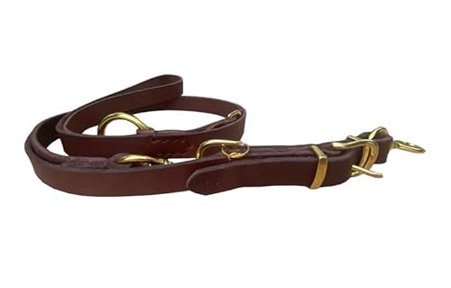 Hundeleine 200 cm, Leine für große Hunde – Abriebfest und langlebig – aus hochwertigem Rindsleder (2 cm breit) – längenverstellbar – rostfreier Karabiner (Braun) von BARRY & LUCY