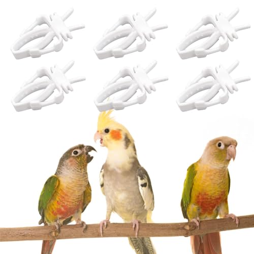 Papageien Obst Gemüse Feeder Clip, Vögel Futterhalter, Vögel Haustier Futterspender Clips, Vogelfutterhalter für Vögel, Papagei Gemüsehalter Feeder Clips Vogelkäfig Zubehör für Papageien, 6 Pcs von BASTOUR