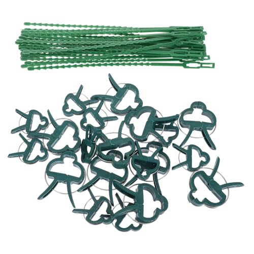 BAZEITFLOW 1 Satz Pflanzenclip-Set Gartenclips Pflanzenklammern Für Kletterpflanzen Im Freien Außen Spaliere Tomatenkäfige Für Den Garten Schließe Spalier Für Kletterpflanzen Farn Green Pp von BAZEITFLOW