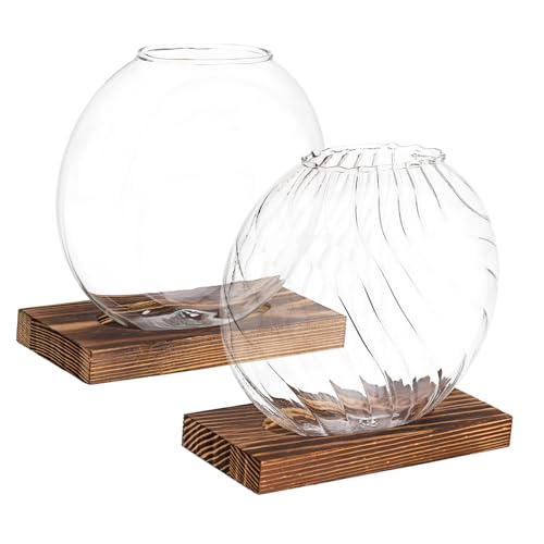 BAZEITFLOW 2 STK kreative Vase Vermehrungsgefäße Terrarienglas Goldener Behälter Vermehrungsvasen für Pflanzen mehrere Terrarium Transparente Glasvase Blumenarrangements Blumentopf aus Glas von BAZEITFLOW