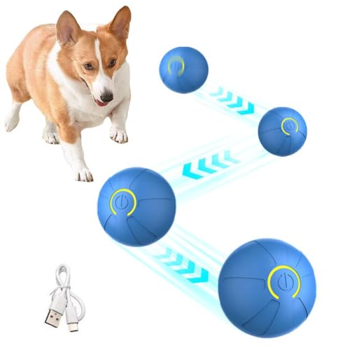 BBASILIYSD Interaktives Hundespielzeug, Ball, Super Drive, Bälle mit Spielzeug, für Hunde, Vögel, Sensor, aktivierter Teaser N4s3 Zwitschern, Haustierspiel Bewegung von BBASILIYSD