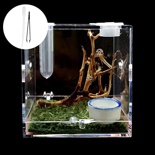 Spider Reptile Insect Feeding Box Reptile Breeding Box Terrarium Accessories For Spider Insect Box Tarantula Cricket Snail Repttile Reptile Reptile Reptile Reptilien Reptilien Käfig Frosch von BBASILIYSD