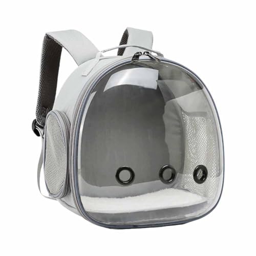 Tragetasche für Meerschweinchen, tragbare Tragetasche für kleine Tiere, tragbare Reisetasche, fliegende Ratte, Outdoor, Eichhörnchen, Handtasche von BBASILIYSD