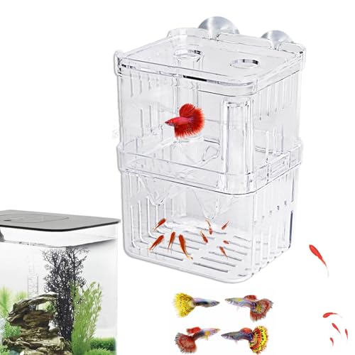 Reptilien-Futterbox, Acryl-Fischzuchttank, Brut-Aquarium-Futterbox, Inkubatortank mit 2 Saugnäpfen, entfernen, Terrarium, Fischbrutkasten für Junge und verletzte Fische von BBAUER