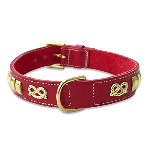 BBD Bull Terrier Halsband, Größe L, Rot von BBD Pet Products