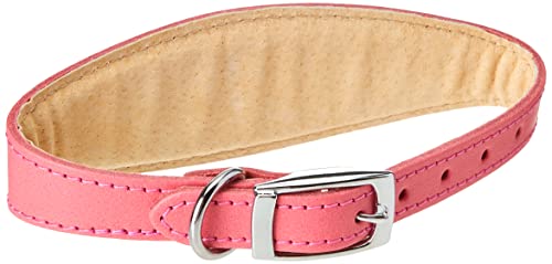 BBD Grey Hound Deluxe Halsband, Pink von BBD Pet Products