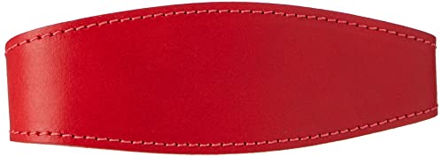 BBD Luxuriöses Hundehalsband für Rennhunde, rot von BBD Pet Products