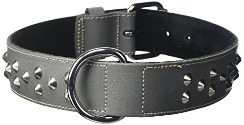 BBD Pet Products Breites Nietenhalsband, Einheitsgröße, 1,27 x 61 cm, Grau von BBD Pet Products