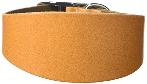 BBD Pet Products Budget Whippet-Halsband, Einheitsgröße, 1,9 x 25,4 bis 30,5 cm, Hellbraun von BBD Pet Products