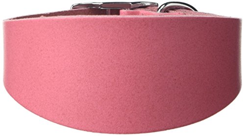 BBD Pet Products Budget Whippet Halsband, Einheitsgröße, 1,9 x 25,4 bis 30,5 cm, Rosa von BBD Pet Products