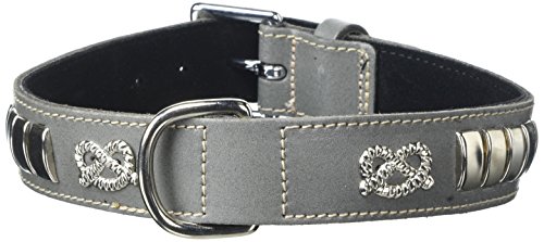 BBD Pet Products Bullterrier Halsband, Einheitsgröße, 0,6 x 45,7 bis 53,3 cm, Grau von BBD Pet Products