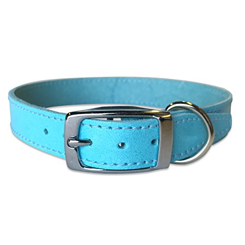 BBD Pet Products Einfarbiges Lederhalsband, 3/4 x 16 bis 18 Zoll, Einheitsgröße, Blau von BBD Pet Products