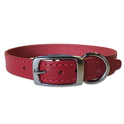 BBD Pet Products Einfarbiges Lederhalsband, 3/4 x 35,6 bis 40,6 cm, Einheitsgröße, Rot von BBD Pet Products