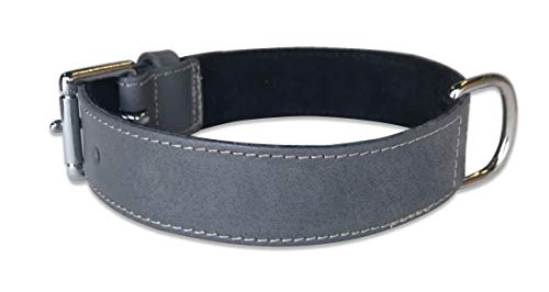 BBD Pet Products Einfarbiges breites Halsband, Einheitsgröße, 0,6 x 56,9 bis 63,5 cm, Grau von BBD Pet Products