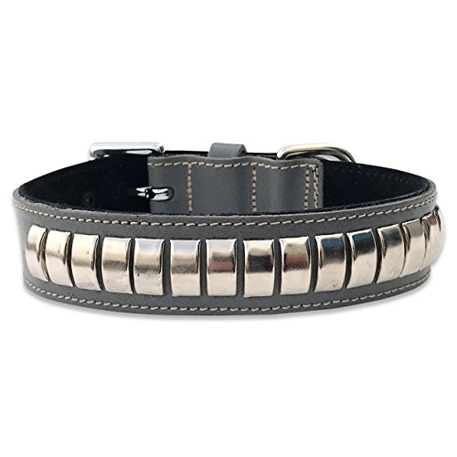 BBD Pet Products Gewölbtes Lederhalsband, Einheitsgröße, 0,6 x 45,7 bis 53,3 cm, Grau von BBD Pet Products