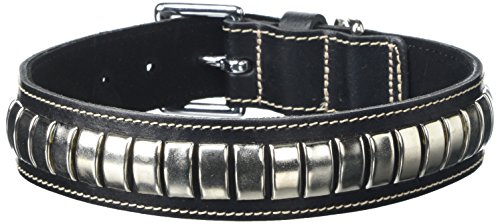 BBD Pet Products Gewölbtes Lederhalsband, Einheitsgröße, 1/4 x 18 bis 53 cm, Schwarz von BBD Pet Products