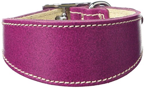 BBD Pet Products Hundehalsband, italienisches Grau, Einheitsgröße, 1,27 x 20,3 cm bis 25,4 cm, Boysenberry von BBD Pet Products