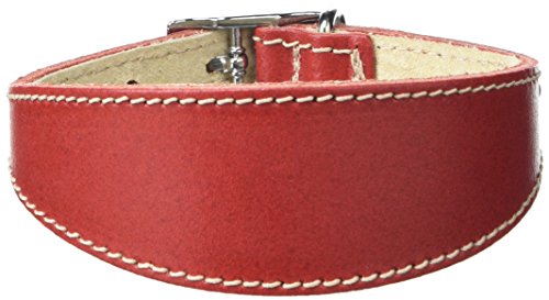 BBD Pet Products Hundehalsband, italienisches Grau, Einheitsgröße, 1,27 x 25,4 bis 30,5 cm, Rot von BBD Pet Products