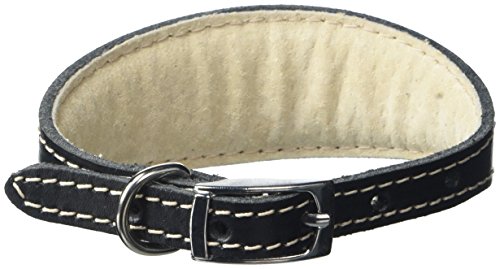 BBD Pet Products Hundehalsband, italienisches Grau, Einheitsgröße, 1,27 x 25,4 bis 30,5 cm, Schwarz von BBD Pet Products