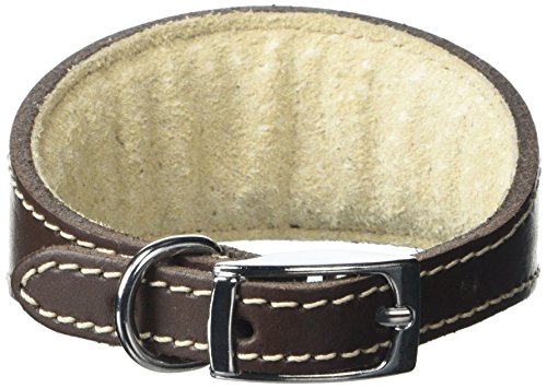 BBD Pet Products Italienisches graues Hundehalsband, Einheitsgröße, 1,27 x 20,3 bis 25,4 cm, Braun von BBD Pet Products