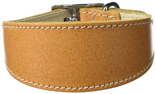 BBD Pet Products Hundehalsband, italienisches Grau, Einheitsgröße, 1,3 x 20,3 cm bis 25,4 cm, Hellbraun von BBD Pet Products