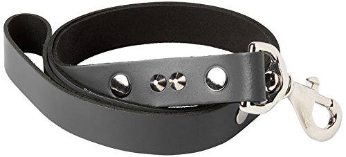 BBD Pet Products Bolzen-Leine, Einheitsgröße, 96,5 cm, Grau von BBD Pet Products