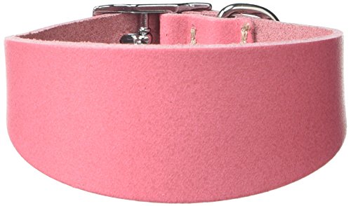 BBD Pet Products Italian G. Hundehalsband, Einheitsgröße, 1,27 x 20,3 bis 25,4 cm, Rosa von BBD Pet Products