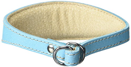 BBD Pet Products Italian G. Hundehalsband, Einheitsgröße, 1,27 x 25,4 bis 30,5 cm, Blau von BBD Pet Products